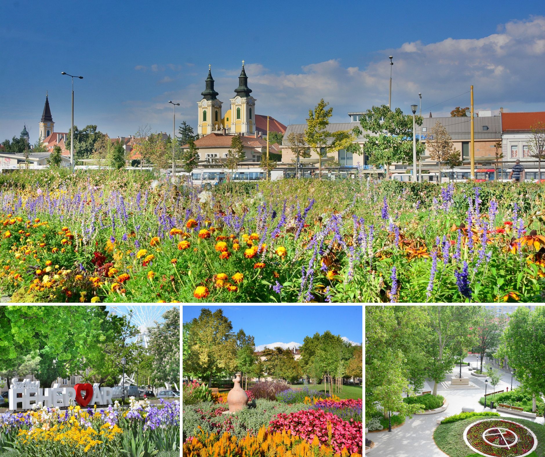 Parkőrök Fehérváron - a zöldterületek tisztaságára és rendjére figyelnek